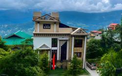 Cilantro Unwind Delisso Abode