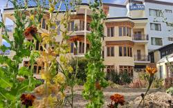 Zaltak Guest House