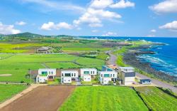 casadelfino in jeju