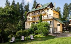 Hotel Ohma - Casa Viorel
