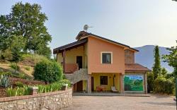 IL SOTTOBOSCO