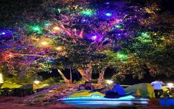 Dream Night Pawna Camping