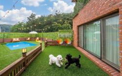 Taean WithDog Aegyeonspa Poolvilla