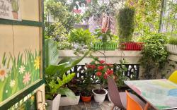 Orchid Homestay
