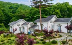 Pyeongchang Cheoeumcheoleom  Pension