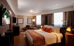 Radisson Hotel Alphaville