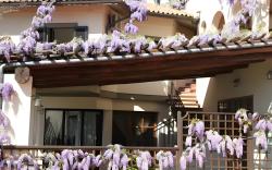 Hotel Galli - Wellness & Spa