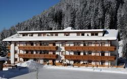 Moseralm Dolomiti Spa Resort