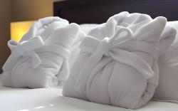 Bird Rock Hotel