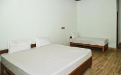 Hotel O The Jungalaw Resort