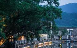 Blossom House Ningbo Hanling