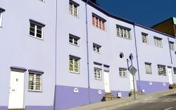 Casa Violeta Limon
