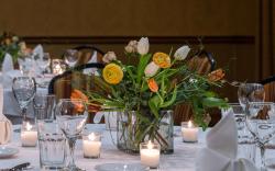 Best Western Plus Waterbury - Stowe