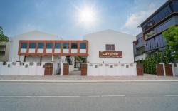TPC Camphor