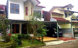 Puncak bogor 