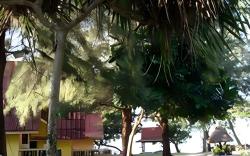 Andaman Beach Resort