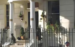 Parkwood at Marble Arch