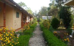 Forest Hideaway Hotel & Cottages