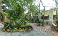 P's Cottage
