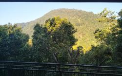 Sugi Gede Homestay