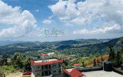 Tulips Village Resorts