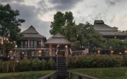 PAI WOODLAND