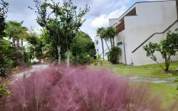 Breeze Pool Villa