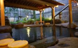 Yudanaka Tawaraya Ryokan