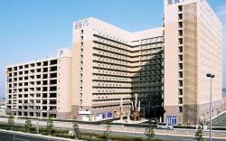 Toyoko Inn Chubu International Airport No1