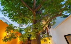 Casa Madero Hotel Boutique 