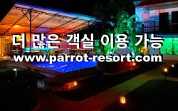 Parrot Resort Moalboal
