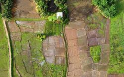 Villa Serenità By Sinharaja Rainforest 