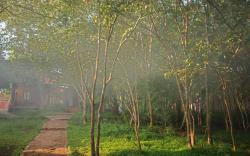 The Windflower Jungle Resorts & Spa Bandipur