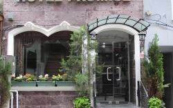 Promise Hotel