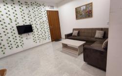Staeg Mercury 1BHK 103