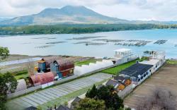 Yucabin Kintamani - for Cool Adults Only Deals