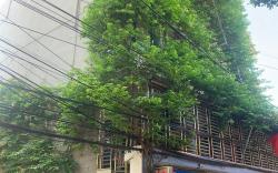 Nha nghi Tuan Hoai