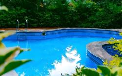 Dolphin Resort