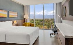 Hilton Garden Inn San Jose Airport City Mall