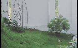 TRANG DOAN’S HOMESTAY 