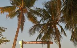 On Board Panglao Beach Hostel & Resort