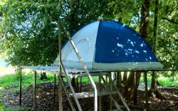Dragster tents in Jadhika thottam