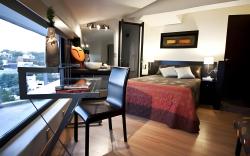 Aztic Hotel and Executive Suites