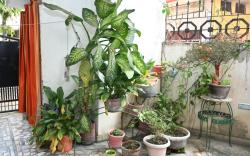 Siddhivinayak Temple Guest House