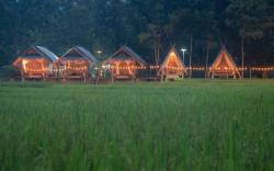 Paddy Fields Haven - Natures Nest
