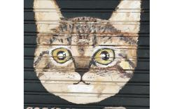 Cocoa Mews Cafe & Home