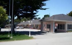 BUTTERFLY GROVE INN