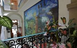 Mexico City Hostel