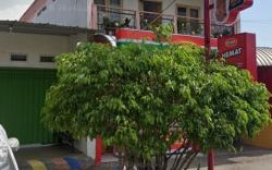 SPOT ON 93042 Lina Homestay Syariah 