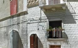 Domatia